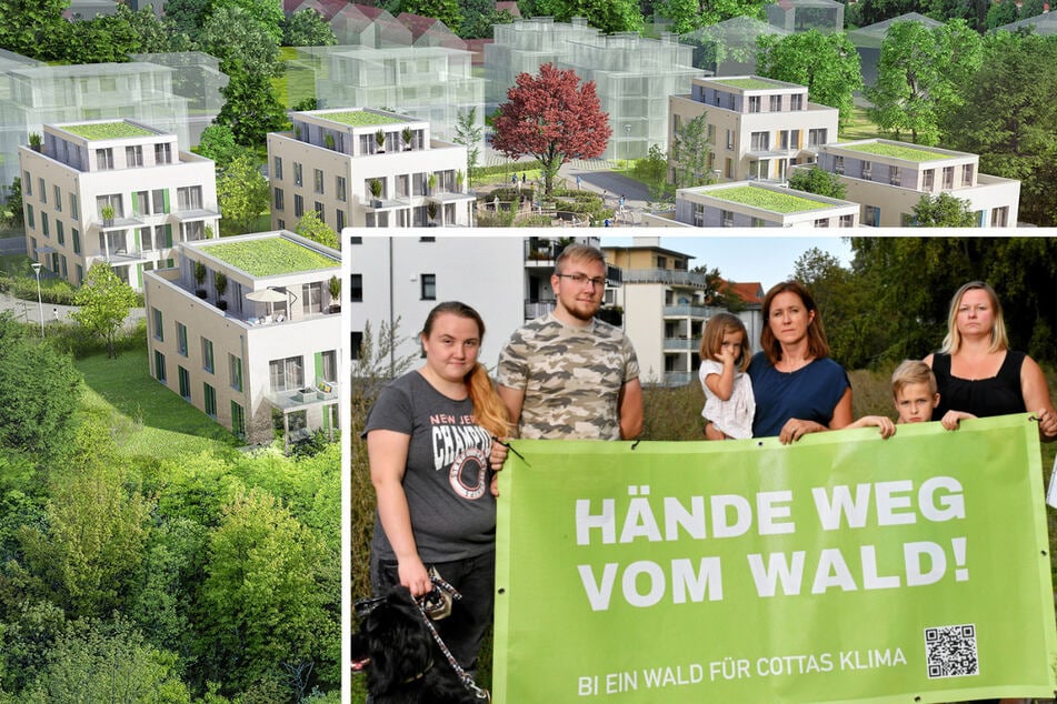Dresden: Wald oder Neubau? Kampf um Leutewitzer Park