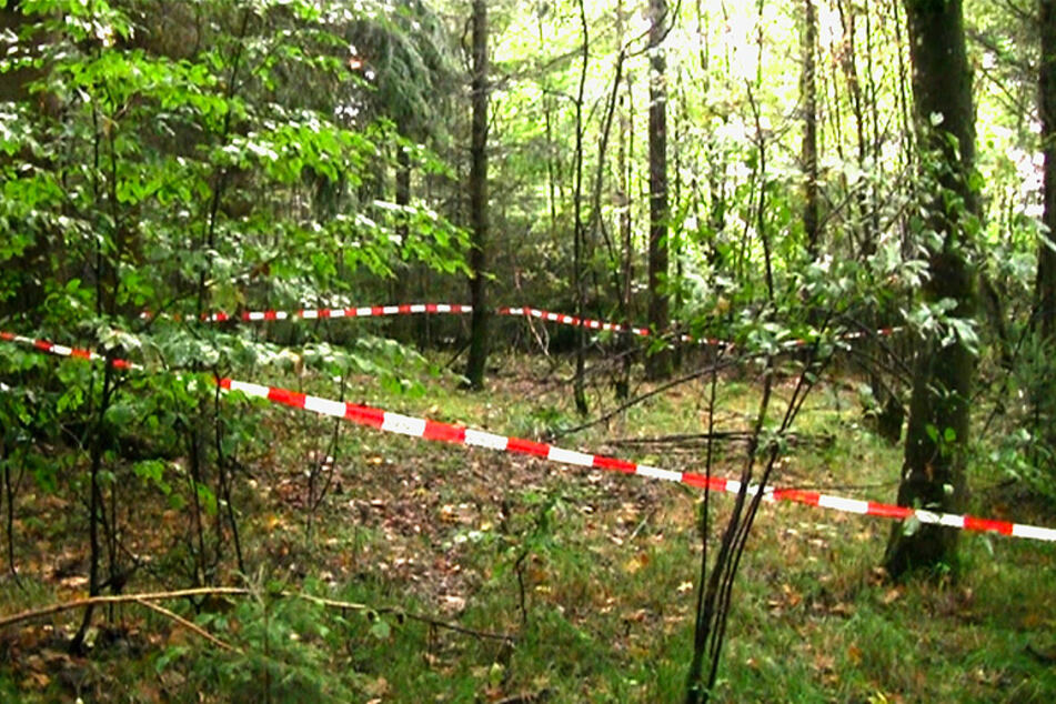 Ein Pilzsucher hatte in diesem Waldstück die sterblichen Überreste der vermissten Maria Bauer gefunden. (Archivbild 2013)