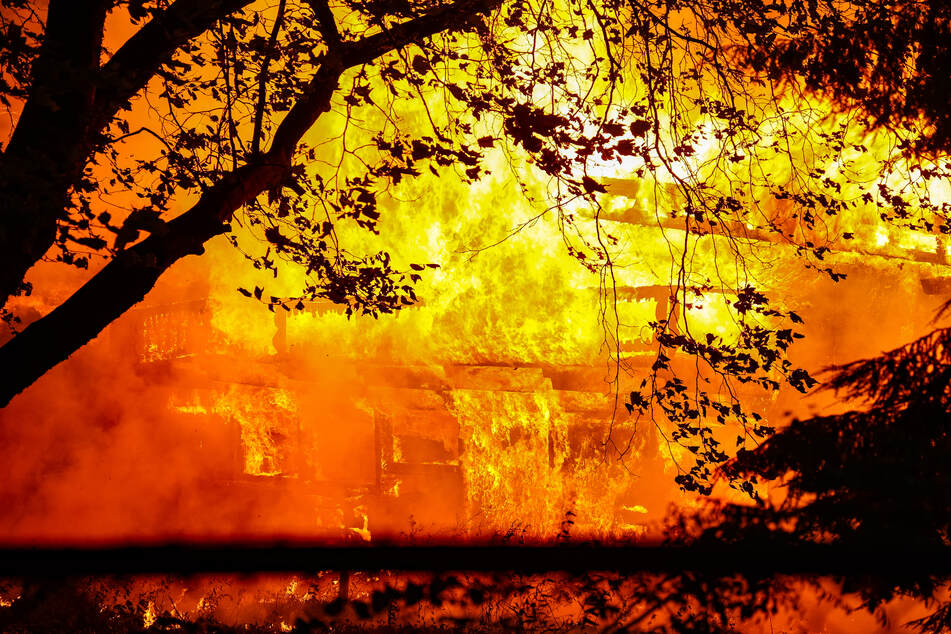 Halle in 100 Jahre altem Märchenwald steht in Flammen: Feuerwehr im Dauereinsatz