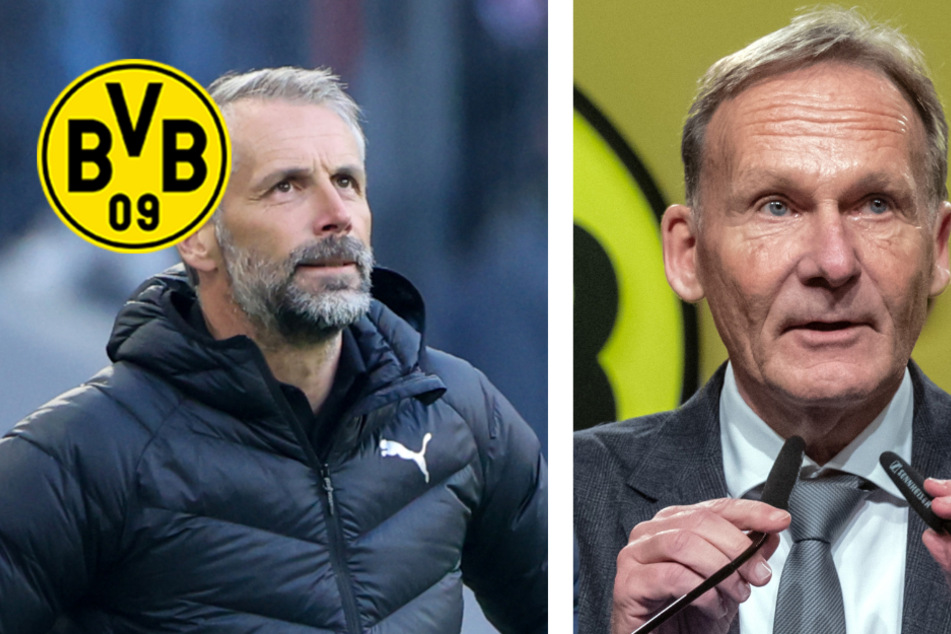 BVB in der Krise: Bereut Dortmund-Boss Watzke den Rose-Rausschmiss?