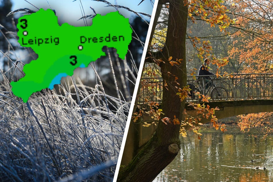 Winter kam schnell, aber wo ist er hin? So startet Sachsen in den Dezember