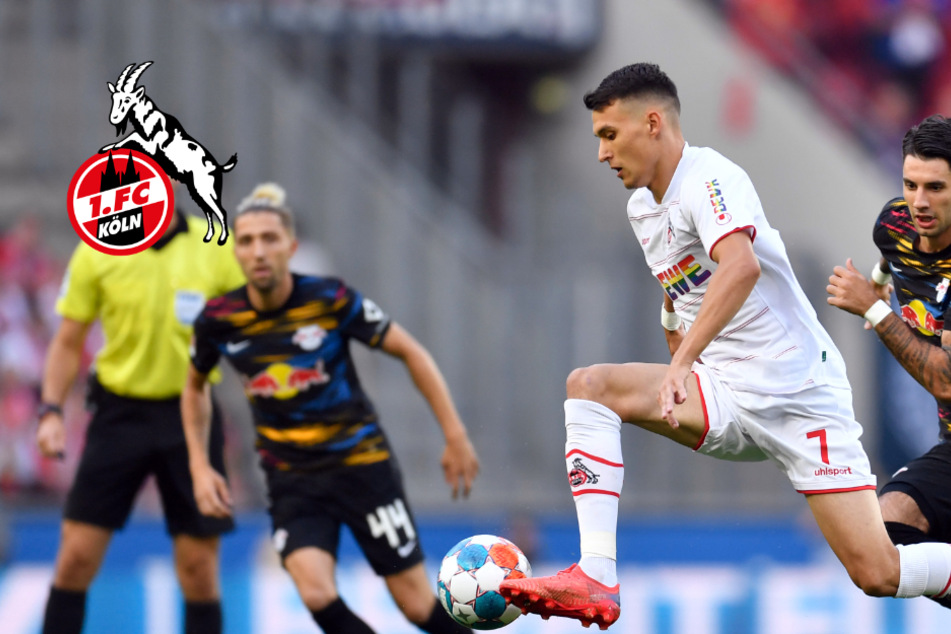 1. FC Köln: Kapitän Hector und Ljubicic wieder auf dem Platz, Sorge um "Dauerpatient"