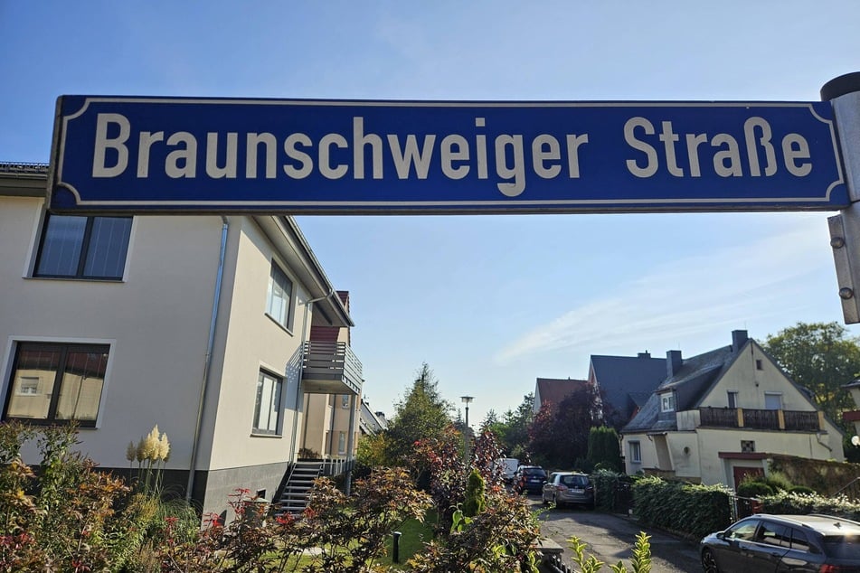 Die Diebe trieben im Bereich der Braunschweiger Straße ihr Unwesen.