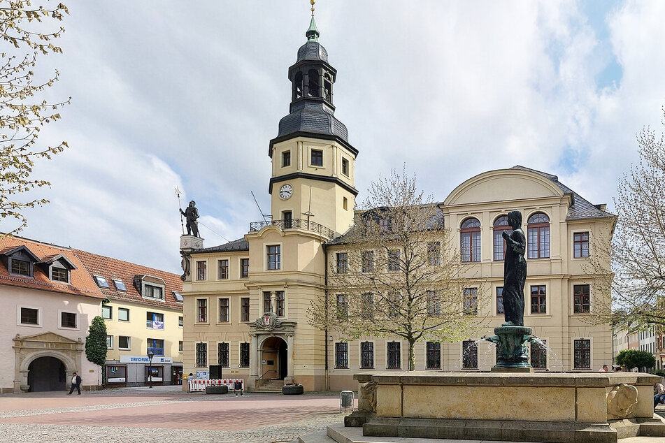 Am Sonntag (9.6.) findet in Crimmitschau die Stadtratswahl statt.