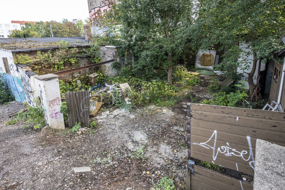 Auch hinten pfui: Im Hinterhof des Grundstücks an der Bernsdorfer Straße liegen Bauschutt, Unrat und Hausmüll.