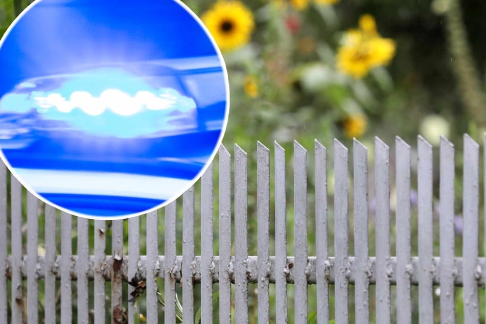 Streit um Hecke eskaliert: Nachbarn prügeln sich mit Ästen