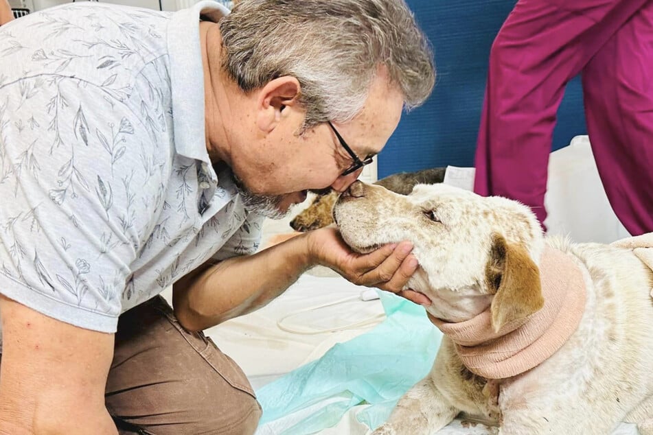 Hund und Herrchen wieder vereint. Pancho überstand die komplizierte Operation und kann sich jetzt unendlich viele Streicheleinheiten abholen.