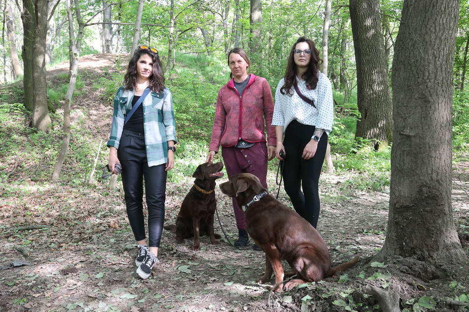 Der Ebersdorfer Wald ist eine beliebte Gassirunde. Für Hunde gilt jetzt strikter Leinenzwang.