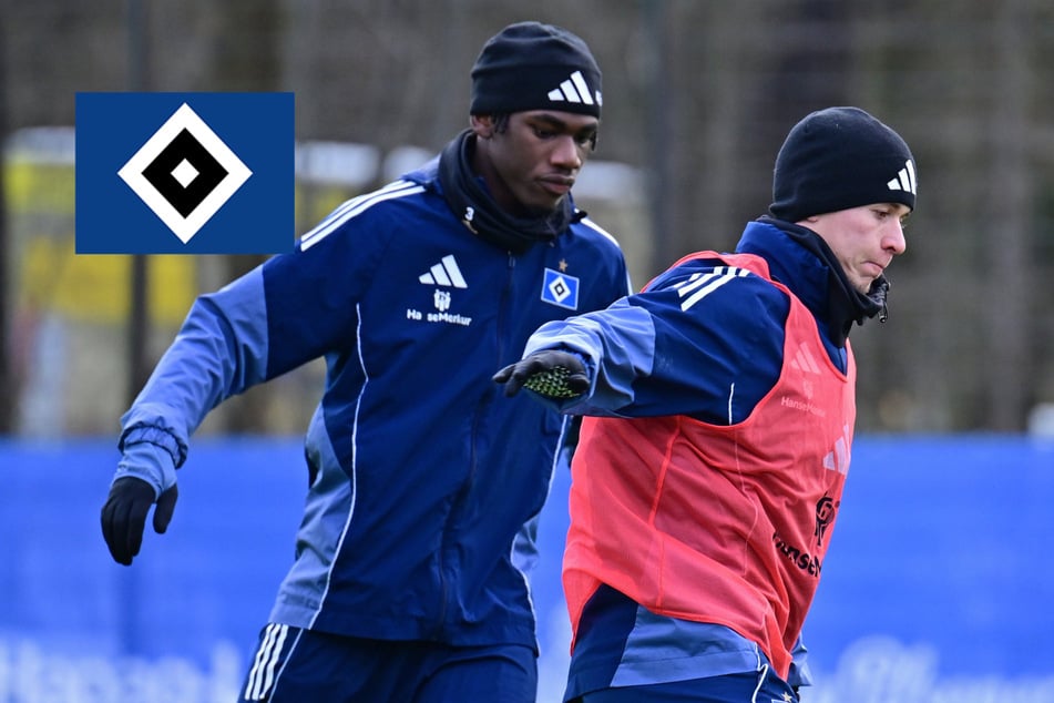 HSV-Blog: Blitz-Abgang im Volkspark! Dieser Profi soll heute noch wechseln