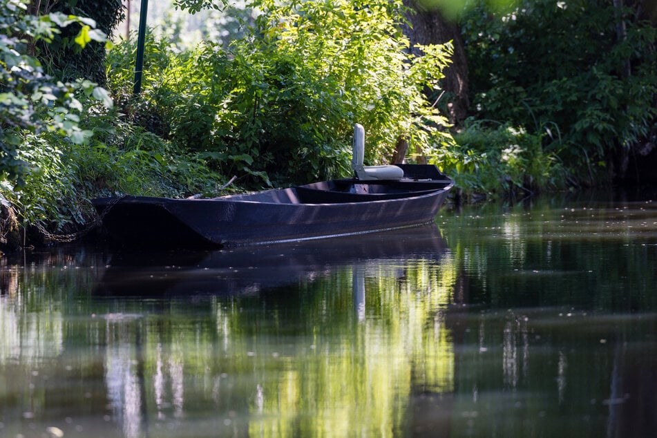 Ausgerechnet in der Urlaubssaison waren einige Fließe im Spreewald gesperrt. (Symbolbild)