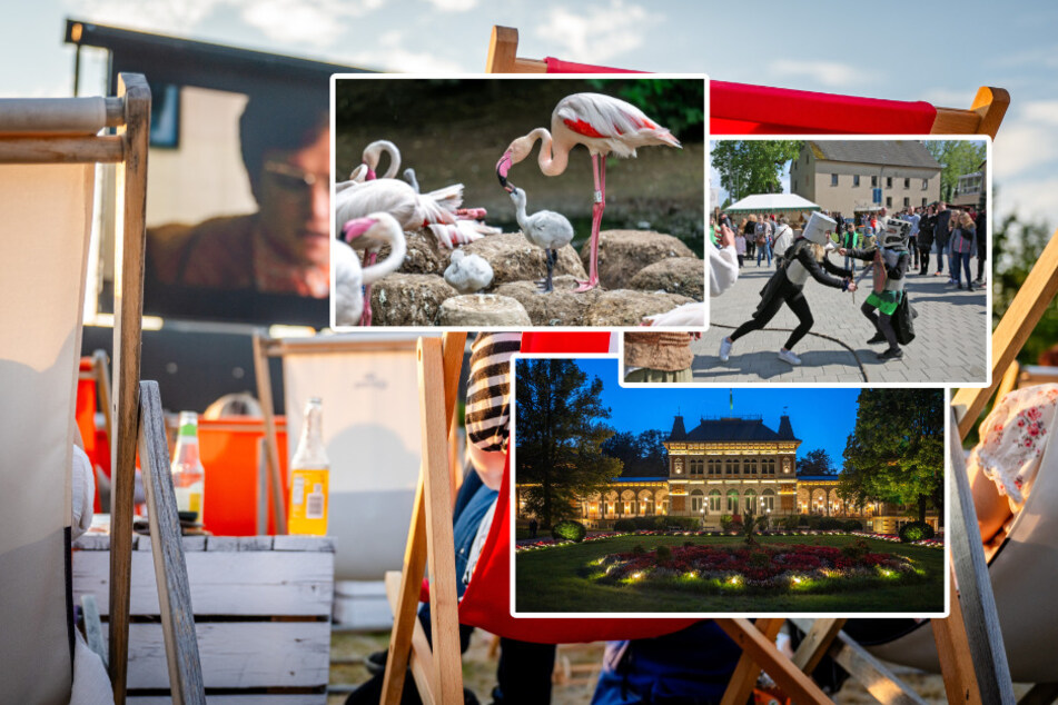Chemnitz: Tiere, Filme und das Mittelalter: Unsere Ausflugstipps am Sonntag im Chemnitzer Land