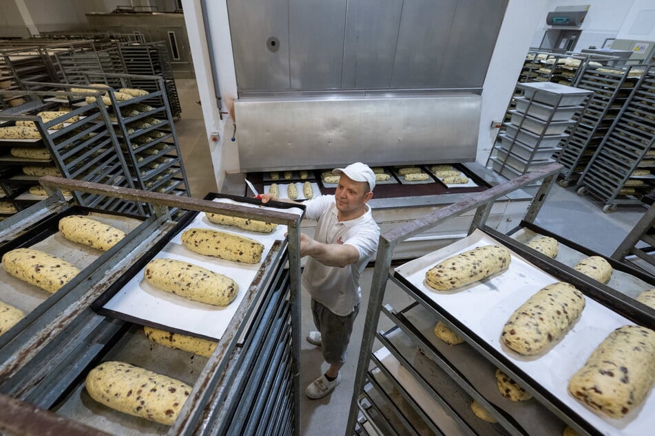 In den Annaberger Backwaren läuft die Stollenproduktion an.