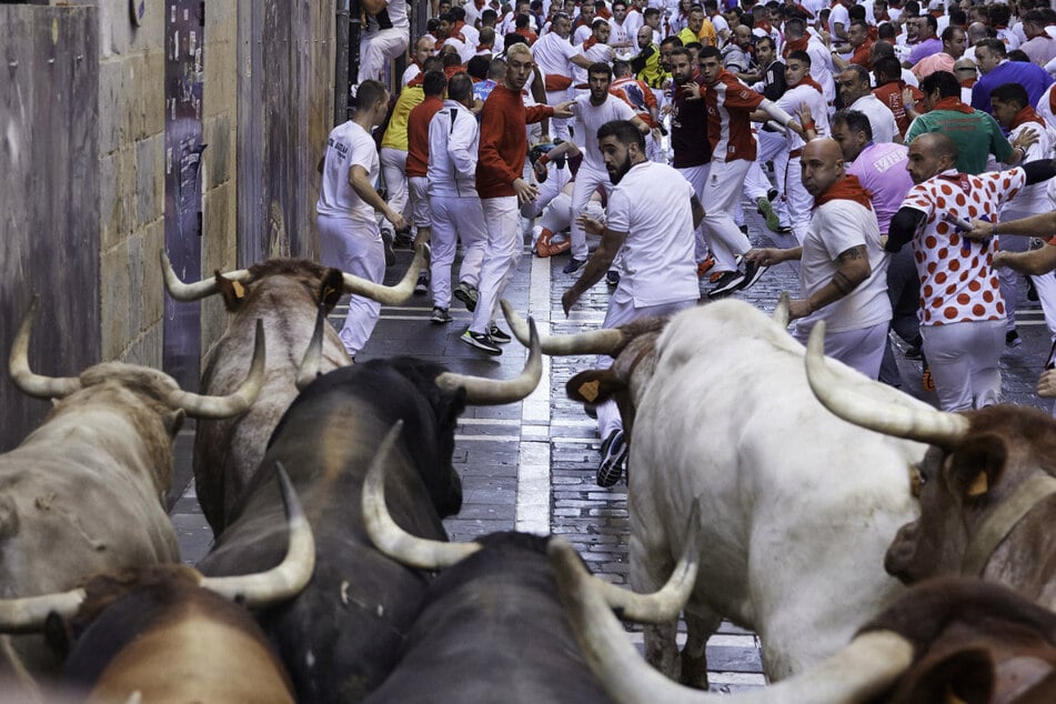 Bis nächsten Donnerstag wird es insgesamt acht Stierrennen in Spanien geben.