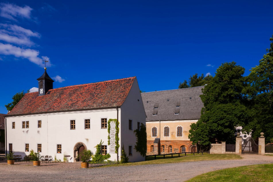 Eine Zeitreise ins Mittelalter erlebt ihr im Klosterpark Altzella.