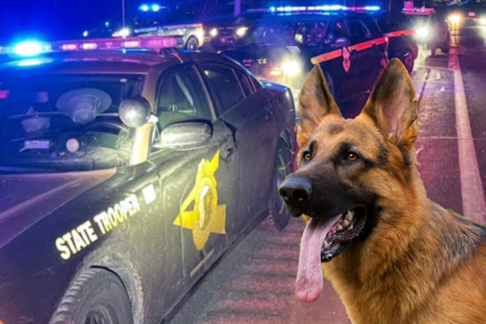 One man's dog started a highway police chase that saved his life