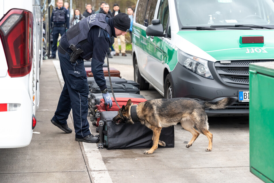 Jedes einzelne Gepäckstück eines Reisebusses wurde von einem Drogenspürhund am Mittwoch untersucht.