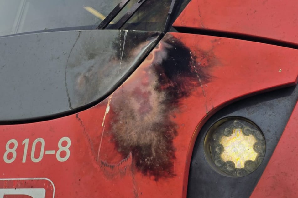 Durch den Kontakt mit dem Stromkabel entstand an der S-Bahn ein deutlich sichtbarer Schaden.