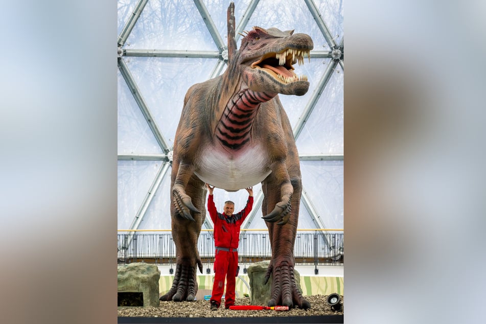 Hier dreht sich alles um Dinos.