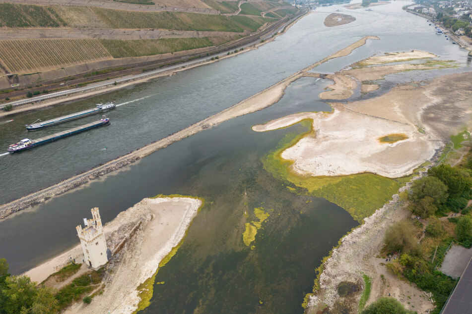 Niedriger Wasserstand am Rhein legt teils gefährliche Munition frei