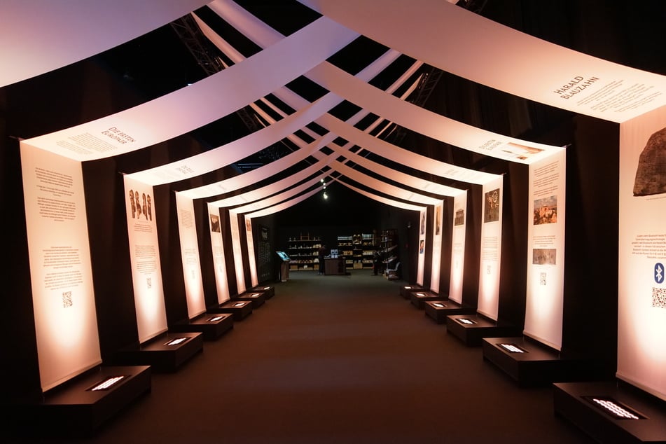 Der Echoraum spiegelt das Vermächtnis der Wikinger wider: Es wird unter anderem erklärt, was das Bluetooth-Zeichen mit der Epoche zu tun hat und dass die meisten Nordeuropäer zehn bis 15 Prozent Wikinger-DNA in sich tragen.