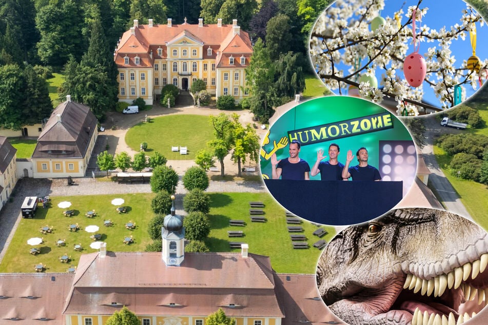 Dresden: Schlechtes Wetter? Egal! 8 Erlebnis-Tipps für Euren Sonntag