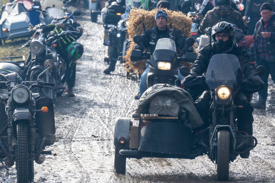 Elefantentreffen in Gefahr? Scharfe Vorschriften sollen Kult-Event retten