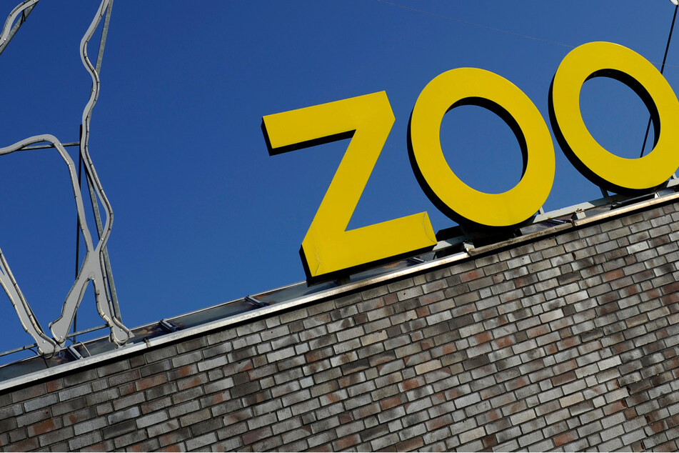 Nach Brand mit mehreren toten Vögeln: Kölner Zoo öffnet ganz regulär, Ursache weiter unklar