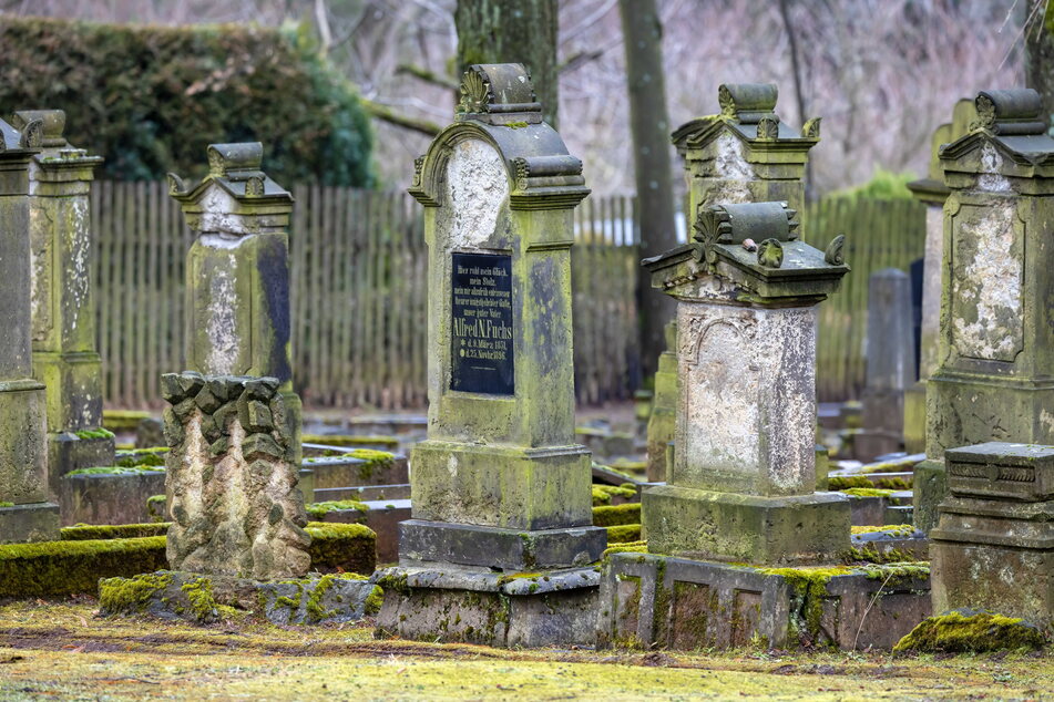 Bei einem Rundgang könnt Ihr besondere Grabstätten auf dem jüdischen Friedhof kennenlernen.
