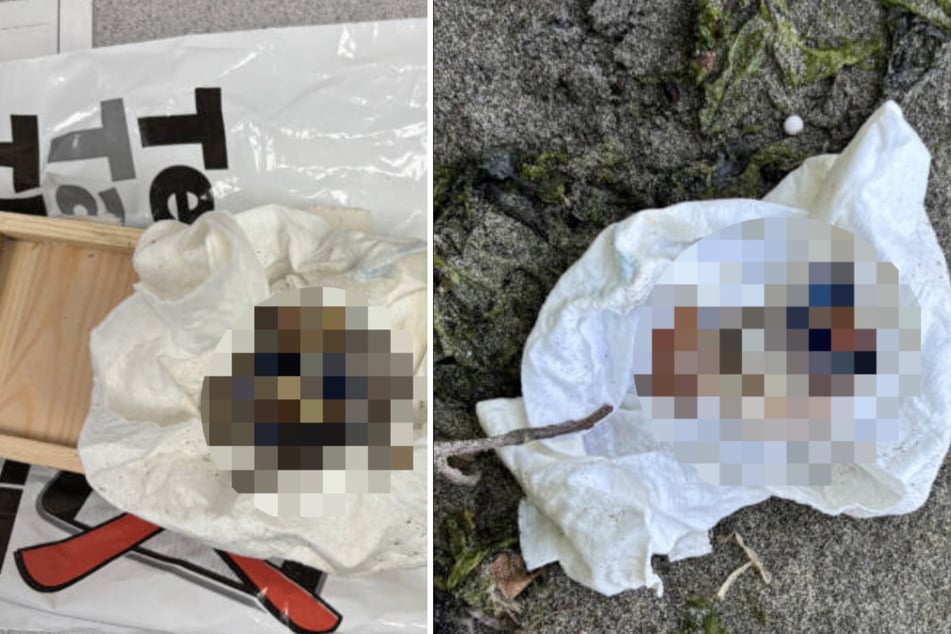 In der Kiste befand sich ein eingewickelter menschlicher Zeh.