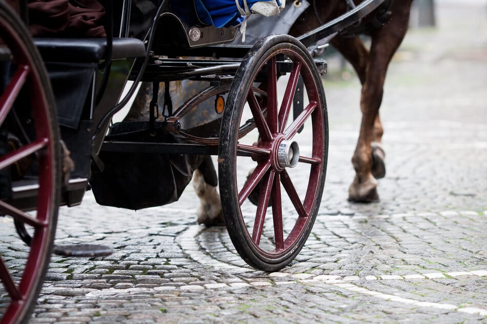 Bei einem Unfall mit einer Kutsche wurde ein zwölfjähriger Junge im Landkreis Sömmerda schwer verletzt. (Symbolfoto)