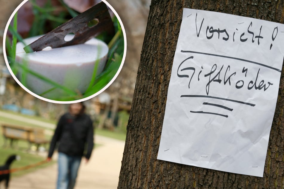 Leipzig: Rasierklingen und Gift in Parks, Gärten und auf den Straßen: So viele Giftköder werden in Sachsen verteilt