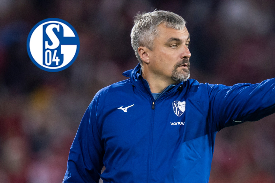 Neuer Schalke-Trainer steht fest: Zu Saisonbeginn trainierte er noch Abstiegs-Konkurrenten
