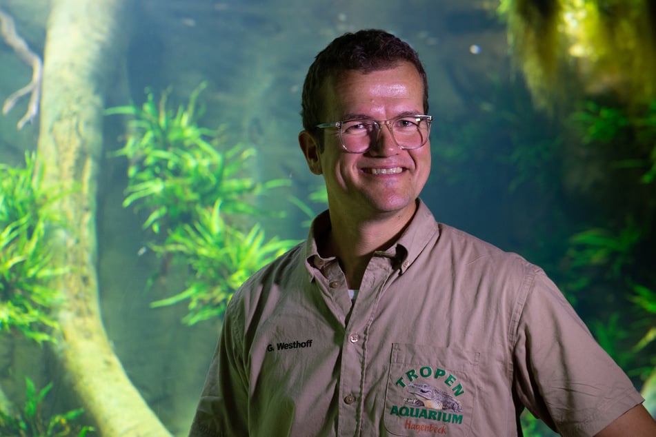 Der bisherige Zoologischen Direktor Dr. Guido Westhoff wird einer der beiden neuen Geschäftsführer im Tierpark Hagenbeck.