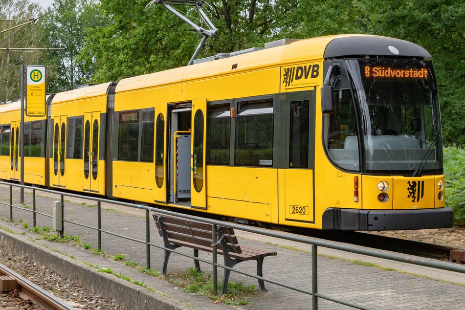 Die Linie 8 soll von Hellerau bis an die Chipwerke an den Norden verlängert werden. TZ lehnt das ab.