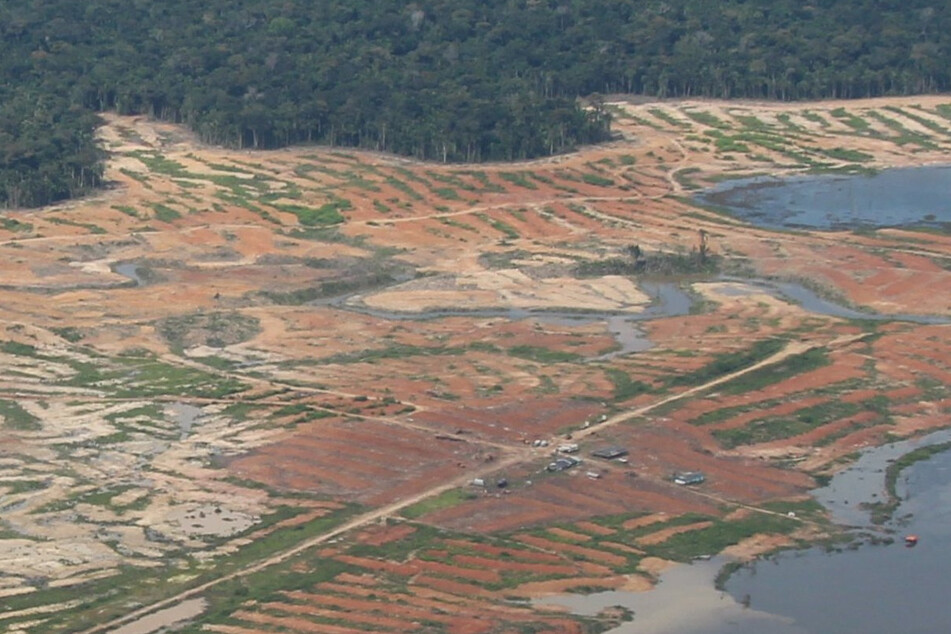Amazonas-Regenwald wird immer mehr zerstört, dabei ist er wichtig fürs Weltklima