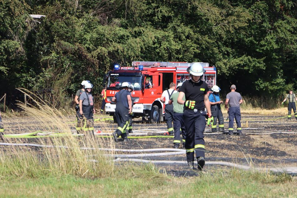 Die Feuerwehr löschte den Brand, bevor die Flammen auf den Wald übergreifen konnten.