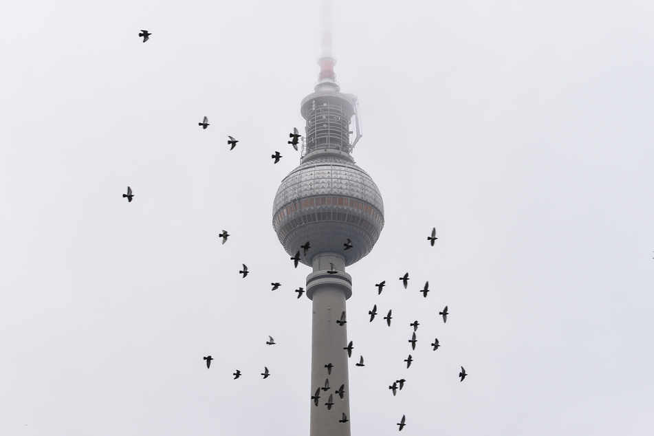 Zum Wochenstart erwartet die Berliner und Brandenburger ein durchwachsenes Wetter.