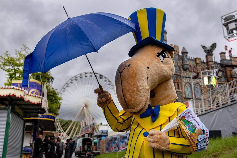 Der Regenschirm sollte am Wochenende auf der Annaberger KÄT nicht vergessen werden. Maskottchen "KÄTI" hat schon vorgesorgt.