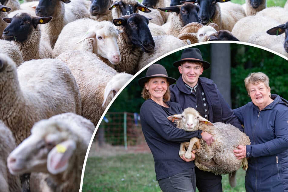 Drei Generationen Schäfer-Glück! Sächsische Familie pflegt alte Handwerks-Traditionen