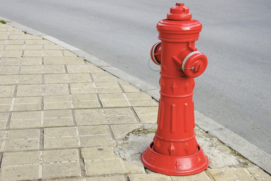 In Riesa ist ein Mann (34) unter Drogeneinfluss gegen einen Hydranten gekracht. (Symbolbild)