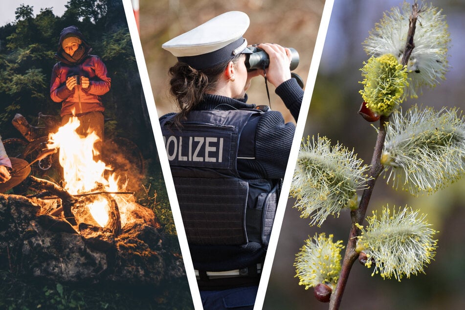 Weidenkätzchen, Feuer, Tanzen: Wo Ostern zur Bußgeld-Falle werden kann