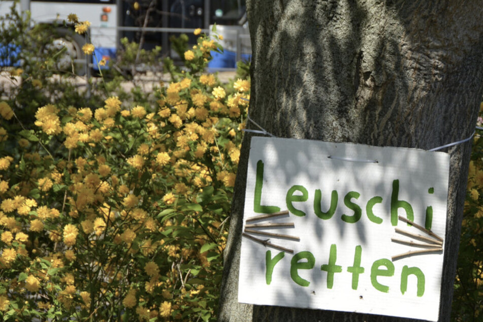 Gebangt bis zum Schluss: Leipziger Naturschützer verlieren Kampf um Wilhelm-Leuschner-Platz