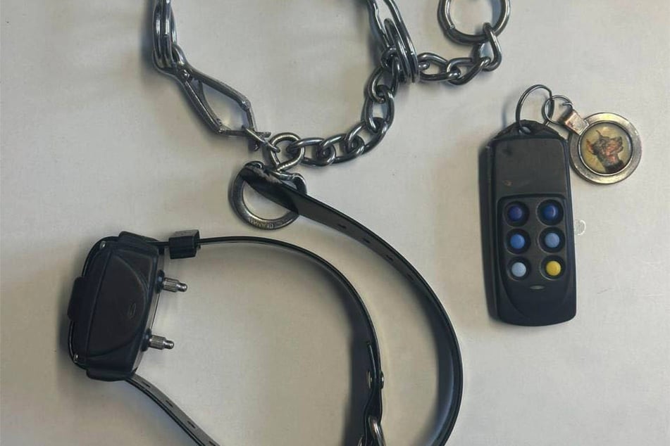 Der Hund musste unter anderem ein verbotenes Dornen- und Elektrohalsband tragen.