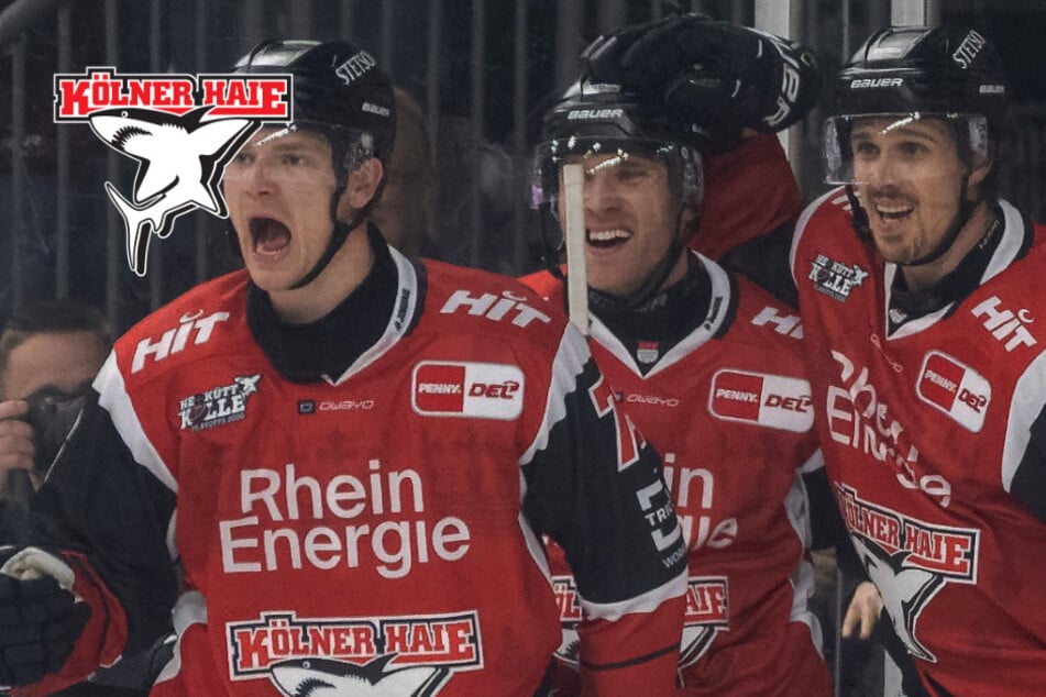 Serie ausgebaut! Kölner Haie fletschen Zähne und reißen Schwenninger Wild Wings