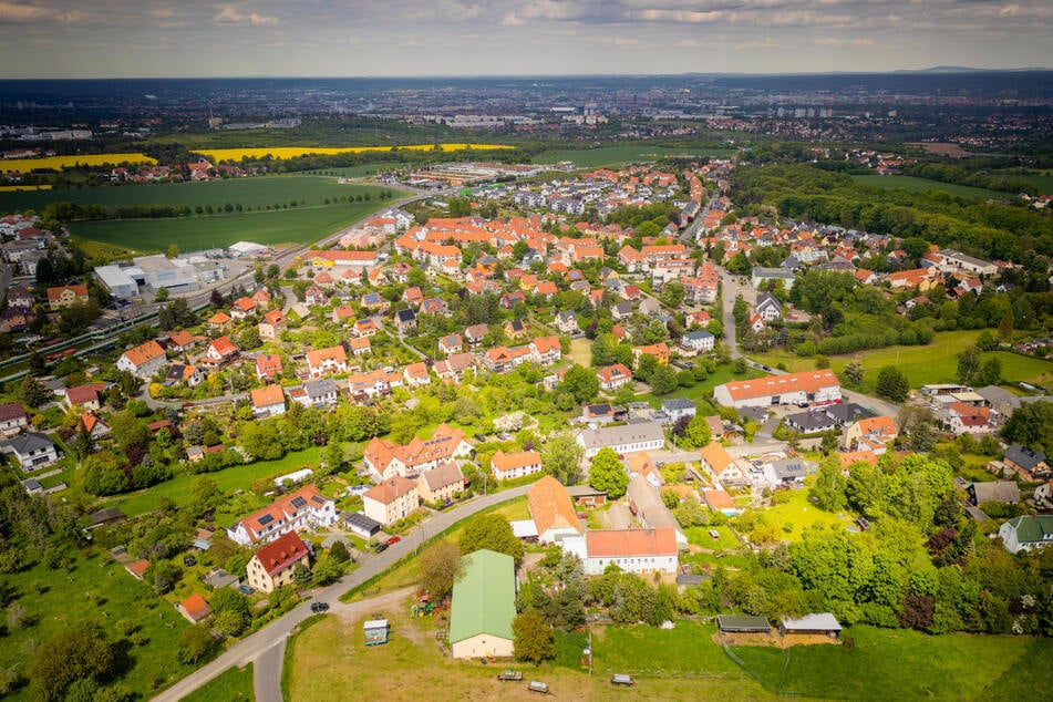 In Bannewitz können sich 30 Vereine über das Gold freuen.