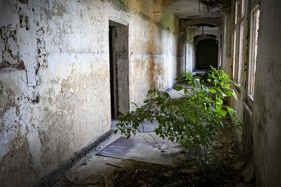 Als "Lost Places" werden leerstehende und sich selbst überlassene Gebäude bezeichnet. Hier ein Beispiel aus Brandenburg, die kaiserlichen Kasernen in Perleberg (Landkreis Prignitz). (Symbolbild)