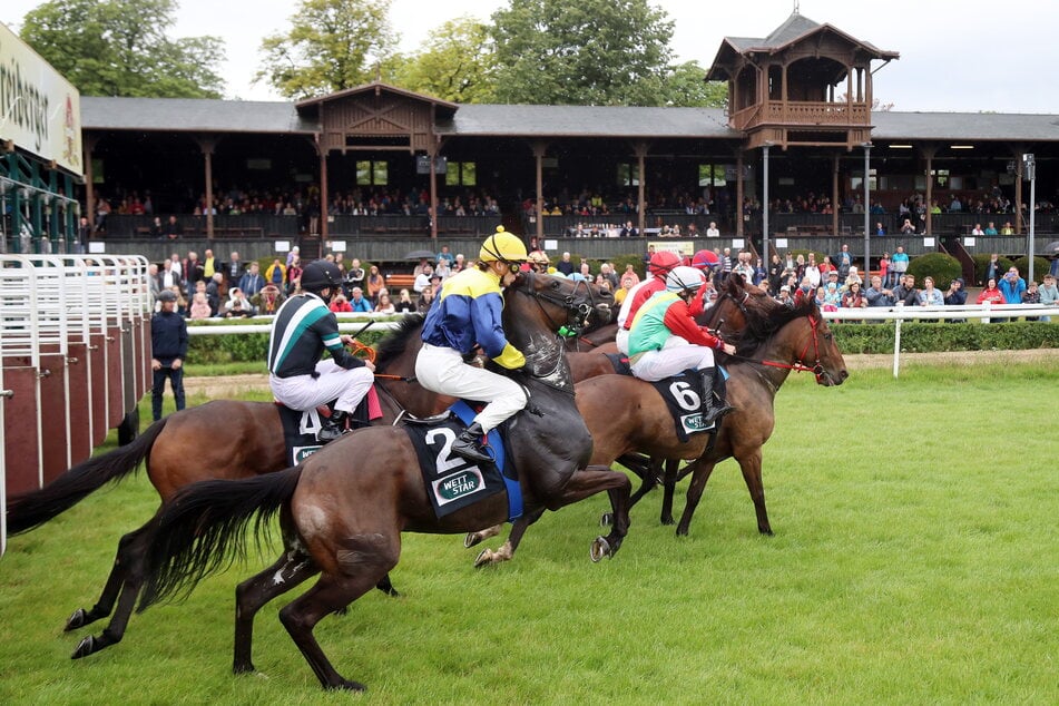 Damit Jockeys reiten und Vollblüter rennen können, muss das Geläuf gepflegt werden.