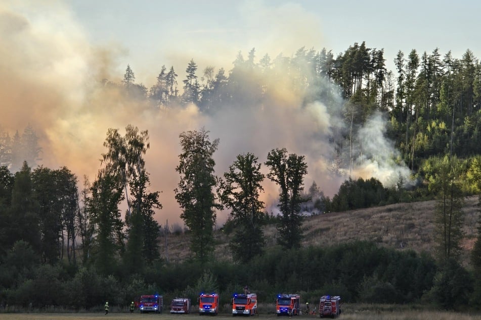 Zahlreiche Einsatzkräfte kämpfen gegen das Feuer.