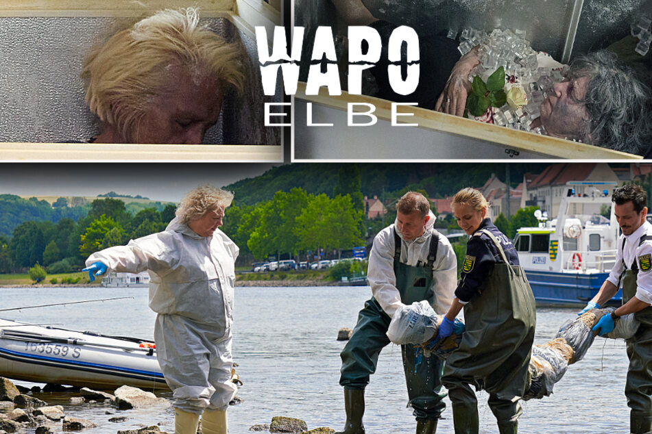 Horror bei der "WaPo Elbe"! Wasserleiche und zwei Tiefkühl-Tote gefunden
