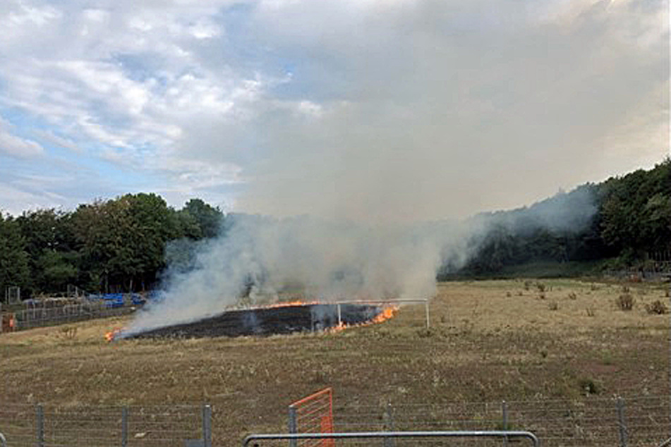 Ein Zeuge hatte das Feuer im Stadion "Zur Sonnenblume" am Montagabend (22. August) bemerkt.
